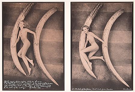 MAGRITTA RAMME WITH WORLD RECORD ELEPHANT TUSKS