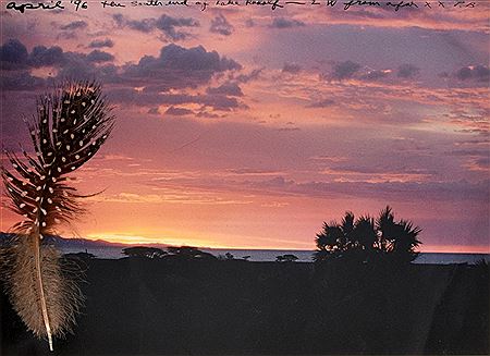 Chromogenic Print