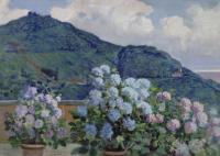 Terrace flowered