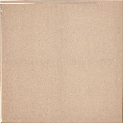 Untitled (Canvas #61), 2012