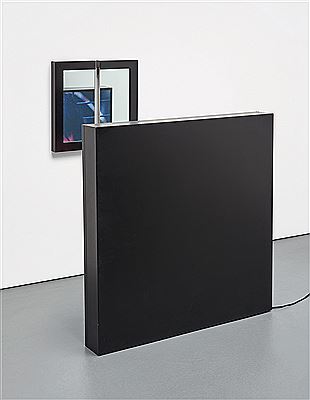 Alfredo Jaar biographical photo