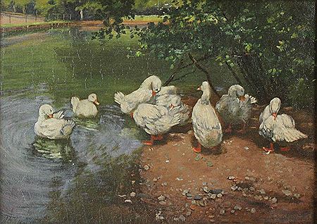 DUCKS BY A POND