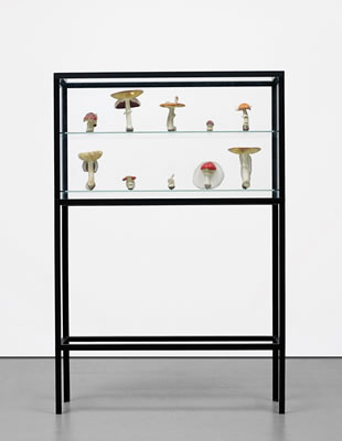 Doppelpilzvitrine (10 Doppelpilze), 2009