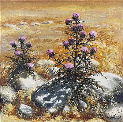 Two Blossomed thorns in a Yellow Field