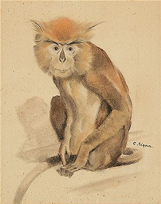 Singe