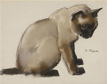 Siamese Cat