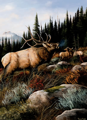 Elk Bugling