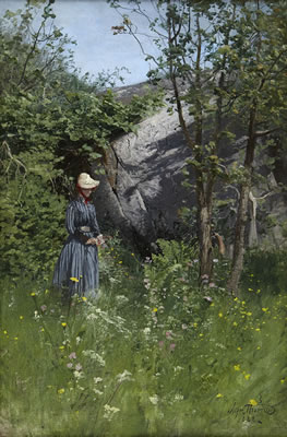 Woman picks Midsummer bouquet