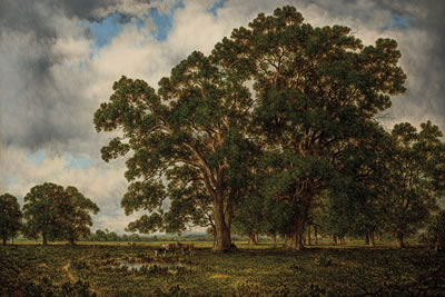 Oaks on the Genesee