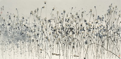 DELICATE FRAGRANCE