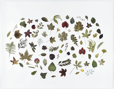 PLANT NO. 12 by Hongwei Guo - Auction record, sale price, and art valuation. Compare with similar artists and explore comparable artworks.