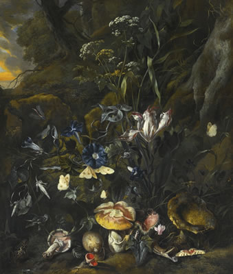 FOREST FLOOR STILL LIFE by Otto Marseus Van Schrieck - Auction record, sale price, and art valuation. Compare with similar artists and explore comparable artworks.