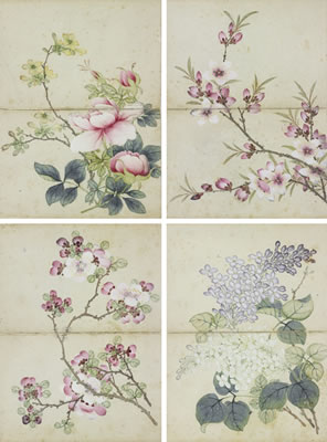 FLOWERS (16)