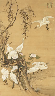 NINE WHITE EGRETS
