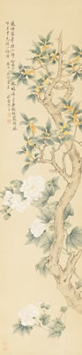 HIBISCUS AND FLOWERING CASSIA