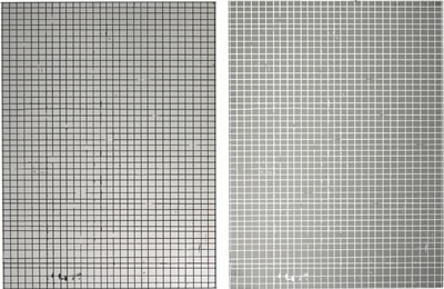 UNTITLED (2)