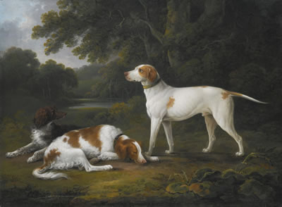 TWO SPANIELS AND A HOUND IN A WOODED RIVER LANDSCAPE