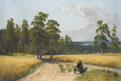 AT THE EDGE OF THE PINE FOREST
