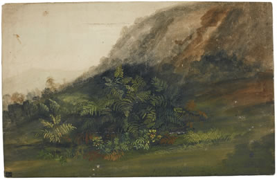 A HILLY LANDSCAPE WITH FERNS IN THE FOREGROUND
