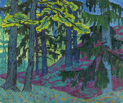 EMERALD FOREST