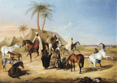 CAMPEMENT DANS LE DÉSERT