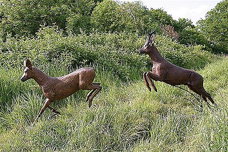 Leaping Roe Deer Stag and Hind