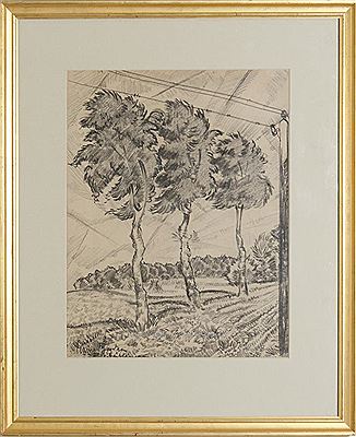 Trees in a Landscape