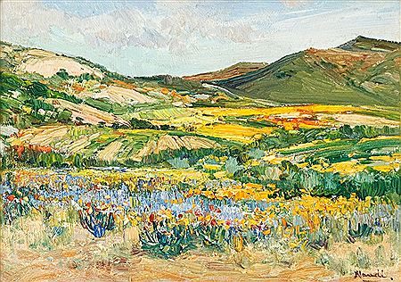 Namaqualand in Spring