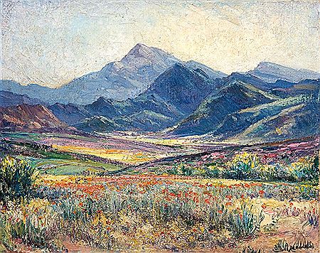 Springtime in Namaqualand