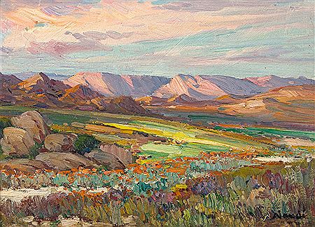 Springtime in Namaqualand
