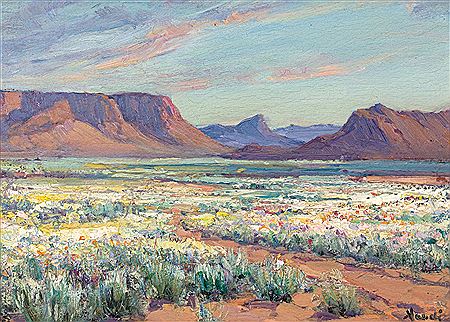 Namaqualand Landscape