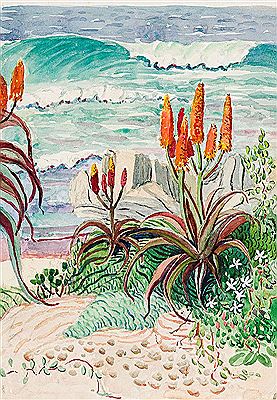 Beach Aloes