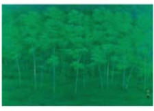 Grove in the Plateau