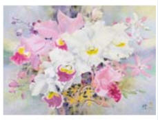 The Bloom of the Orchids