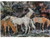 A Herd of Horses