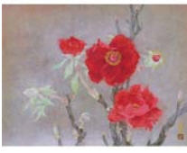 Peonies in Winter