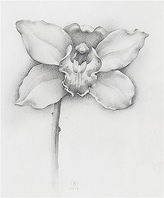 "Orquídea". 1993