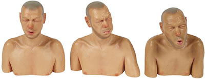 Sleep of Reason (3 Busts), 2004