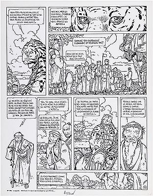 Le vent des dieux, Lapin-tigre - Tome 4
