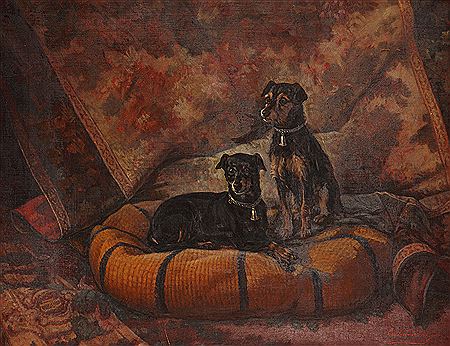 COMPANION DOGS
