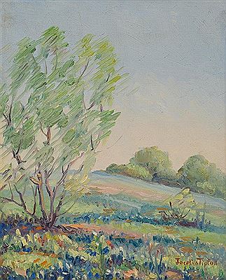 Hill Country Bluebonnets by Jocelia Tipton - Auction record, sale price, and art valuation. Compare with similar artists and explore comparable artworks.