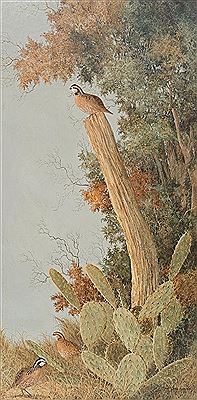 Cactus and Quail