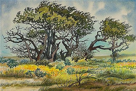 Hill Country Trees, 1978 by Joseph Paine - Auction record, sale price, and art valuation. Compare with similar artists and explore comparable artworks.