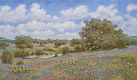 "Bluebonnet-Playground"