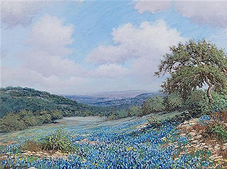Bluebonnets