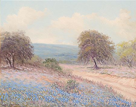 Bluebonnets