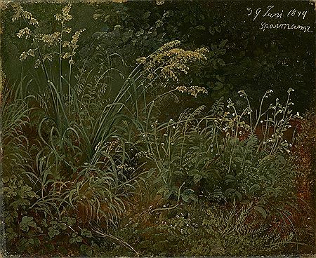 Forest Glade by Karl Christian Sparmann - Auction record, sale price, and art valuation. Compare with similar artists and explore comparable artworks.