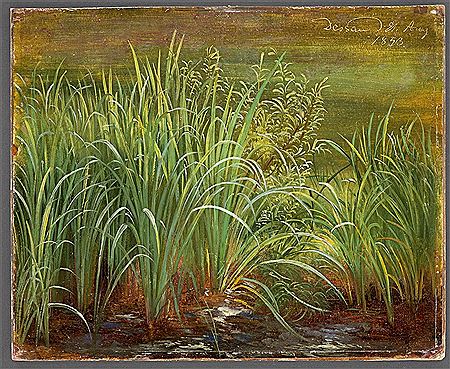 "The Banks of a Lake, with Reeds"
