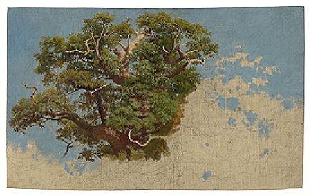 Study of a tree