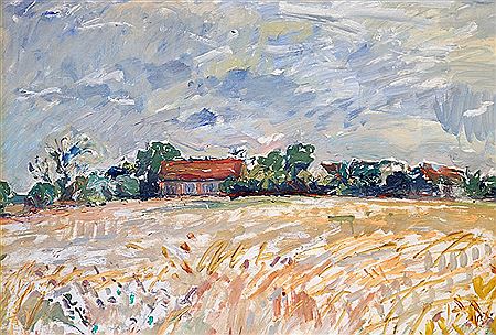 Countryside with a village